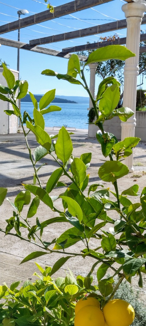 Apartmani Figaro 4* Ka&scaron;tel Stari  Ka&scaron;tel Stari